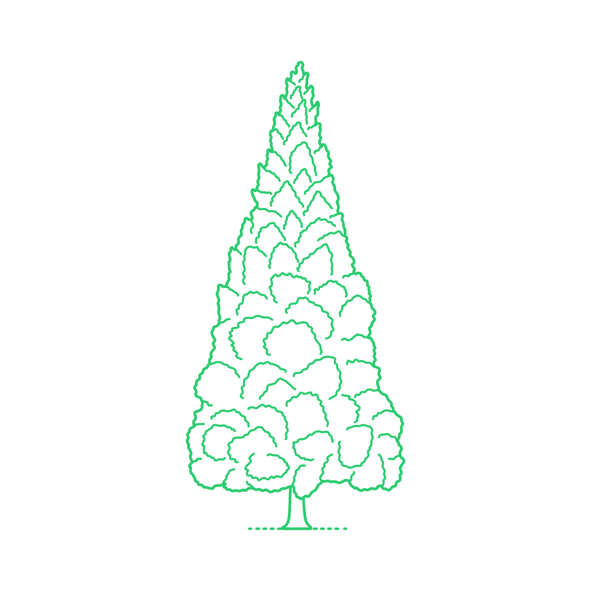 Plants Bald Cypresses Japanese Cedar Engraving Svg Design Free Vectors